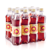 Carpe Diem Kombucha Fresh Classic EW PET 12X0,50