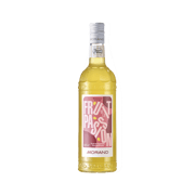 Morand Sirop Fruit de la Passion EW 1X1,00