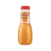 Granini Walliser Aprikose EW PET 24X0,33
