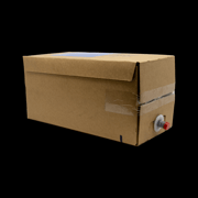 Pepsi Bag in Box 1X10,00