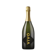 VIVO Prosecco DOC Magnum EW 6X1,5