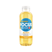 FOCUSWATER Active Ananas & Mango EW PET 12X0,50