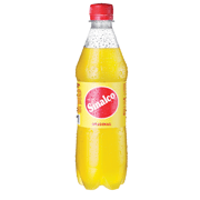 Sinalco EW PET 24X0,50