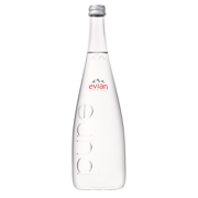 Evian ohne CO2 EW 12X0,75