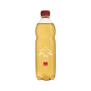 Iris Apfelsaft Schorle EW 24X0,50