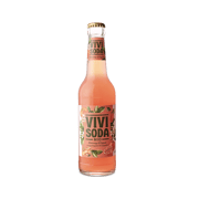 Vivi Soda Blutorgange & Ingwer Bio Harass 24X0,33