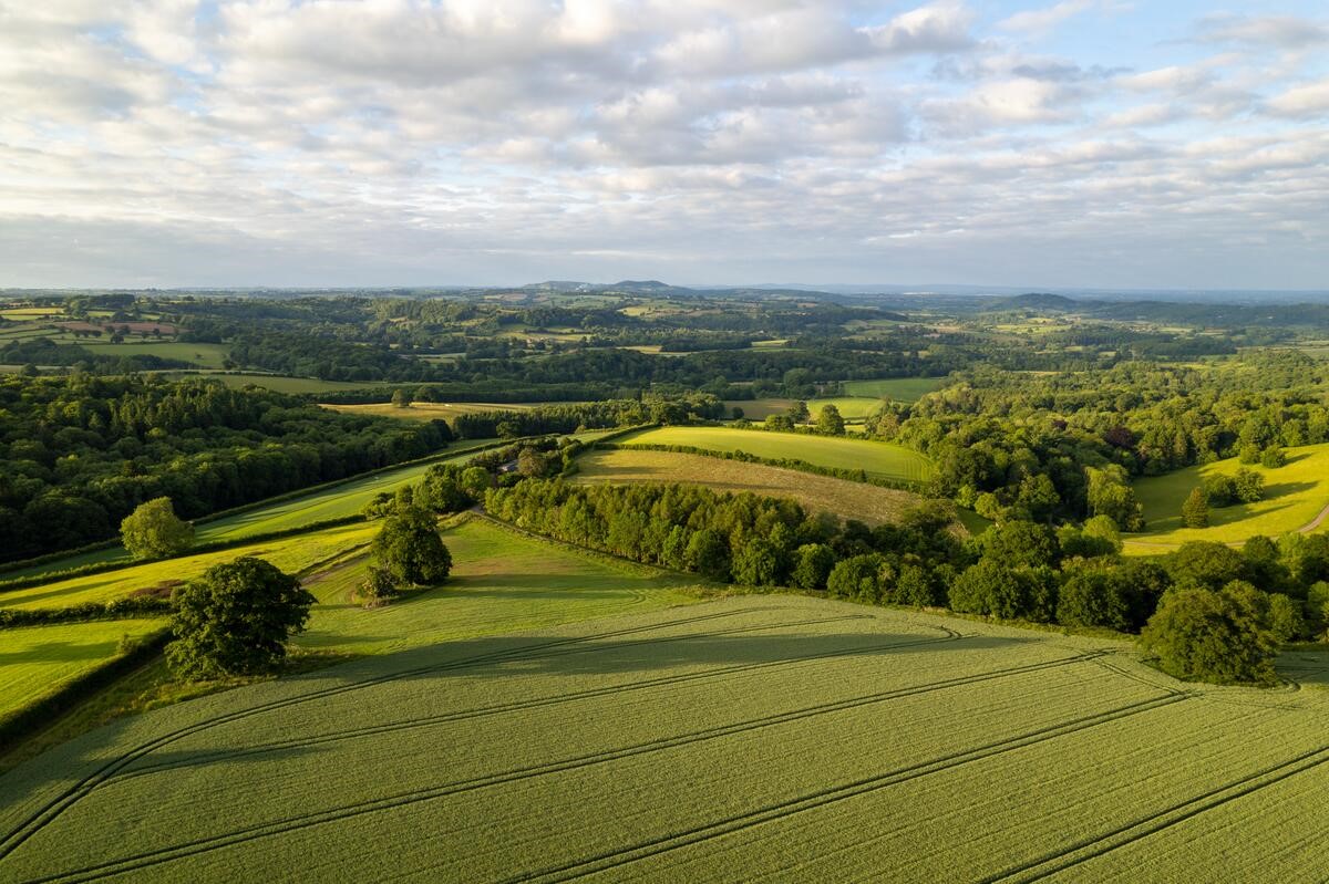 Farmland